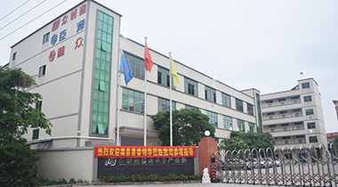 热烈欢迎渠县县委领导莅临我司参观指导！